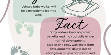 🚼 Baby Walkers: Myth vs. Fact 🚼  